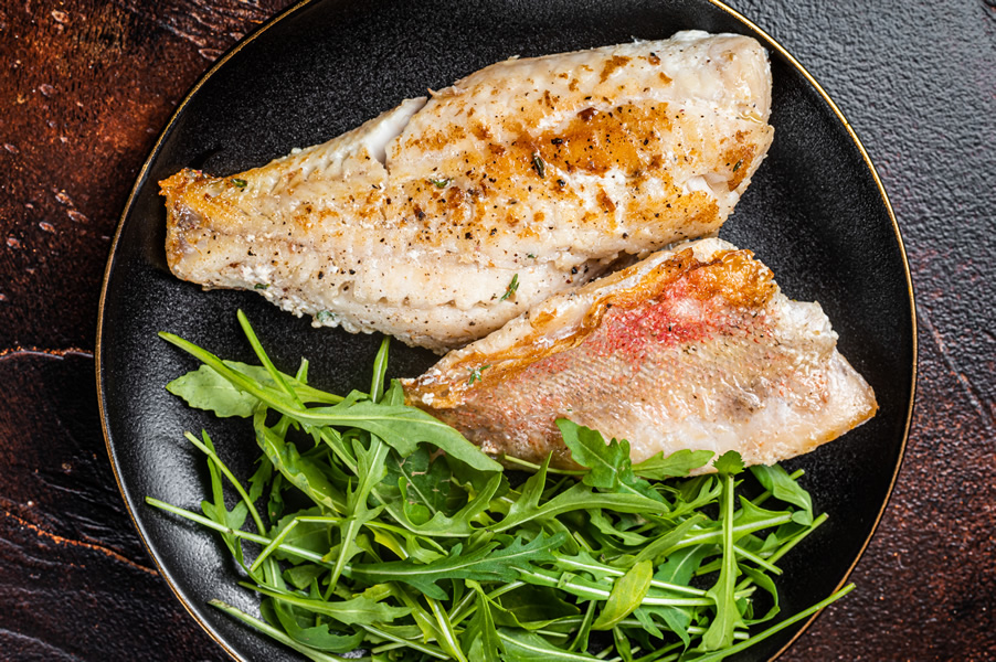 Von Kopf bis Flosse - Basic Fisch
